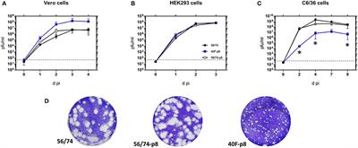 A Hyper-Attenuated Variant of Rift Valley Fever Virus Generated by a Mutagenic Drug (Favipiravir) Unveils Potential Virulence Markers